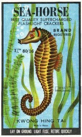 Sea-Horse Firecracker Picture