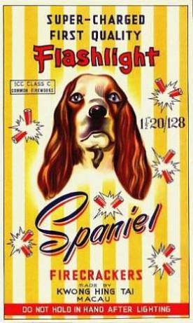 Spaniel Firecracker Picture